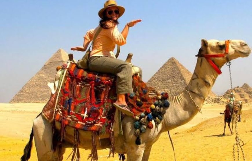 Cairo: Pyramids, Sphinx, Citadel and old Cario Private tour