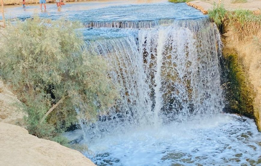 From Cairo: Whale Valley and Wadi El Rayan Waterfalls Tour