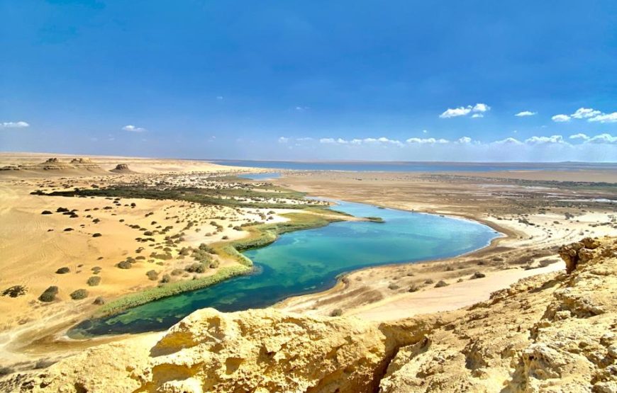 From Cairo: Whale Valley and Wadi El Rayan Waterfalls Tour