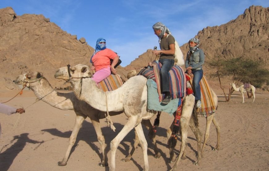 Quad Bike Safari Tour in Sharm El Sheikh