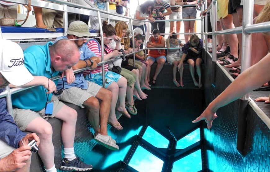 Glass Bottom Boat Tour in Sharm El Sheikh