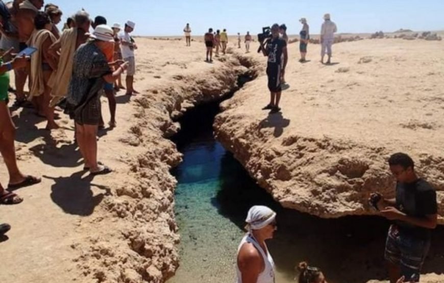 Ras Mohammed National Park Half Day Tour by Bus