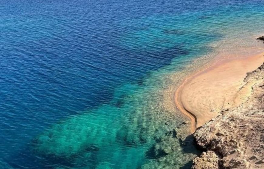 Ras Mohammed National Park Half Day Tour by Bus