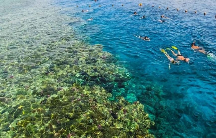 Ras Mohammed National Park Half Day Tour by Bus