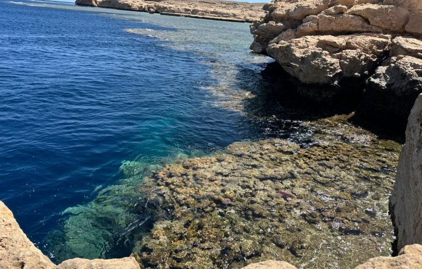 Ras Mohammed National Park Half Day Tour by Bus