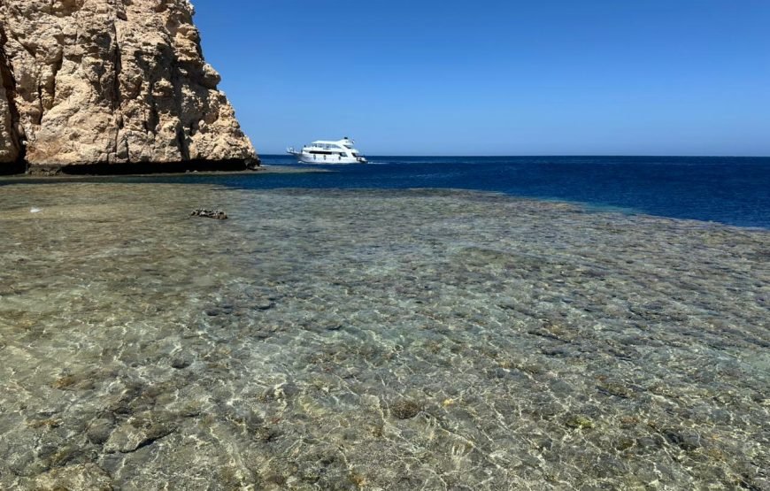 Ras Mohammed National Park Half Day Tour by Bus