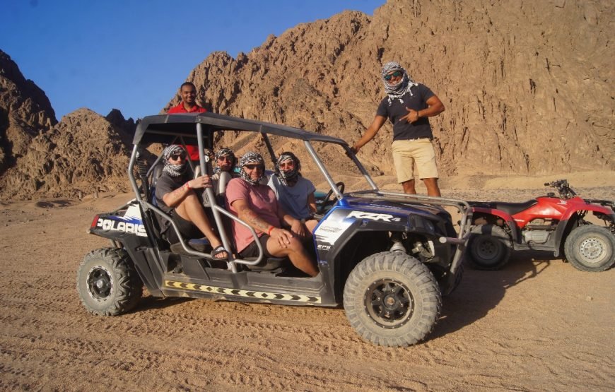 Super Sand Buggy Safari from Sharm El Sheikh