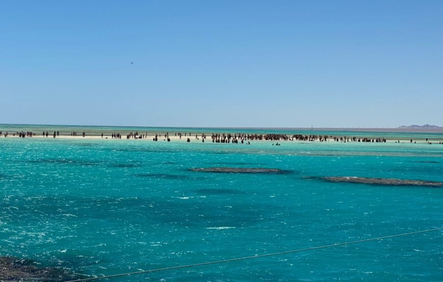 Ras Muhammad and White Island Trip by boat