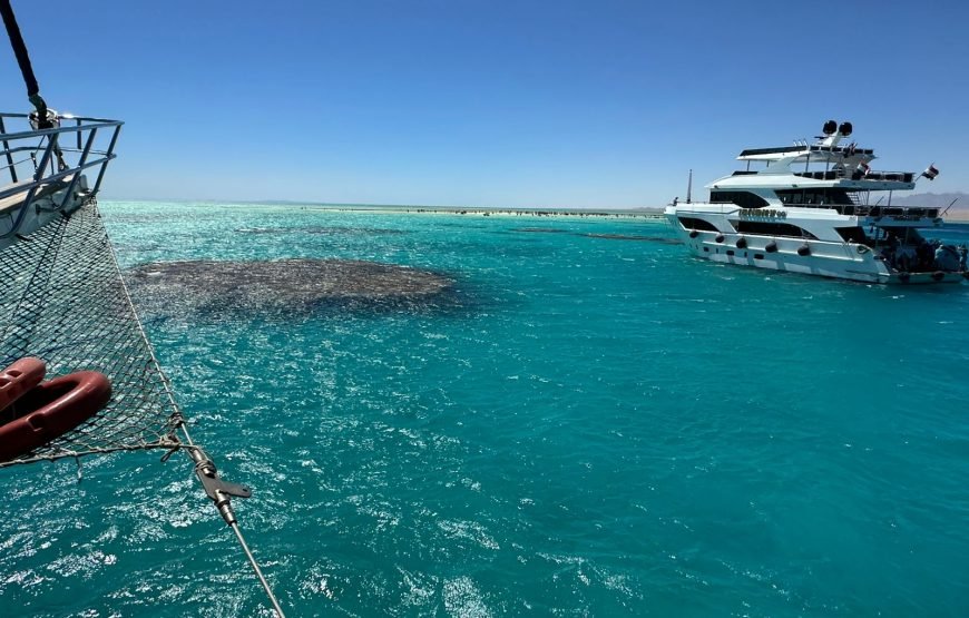 Ras Muhammad and White Island Trip by boat