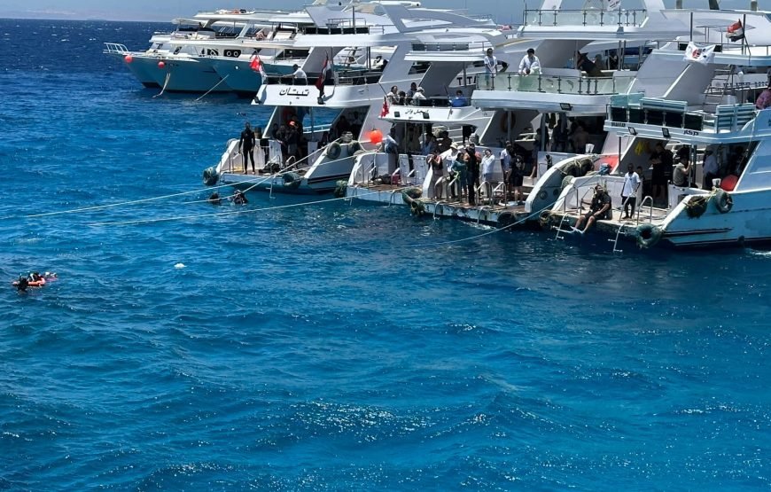 Ras Muhammad and White Island Trip by boat