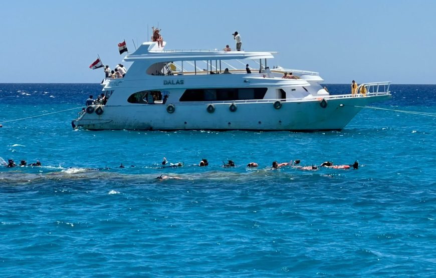 Ras Muhammad and White Island Trip by boat