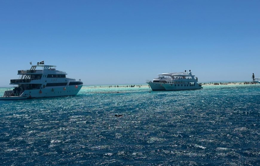 Ras Muhammad and White Island Trip by boat