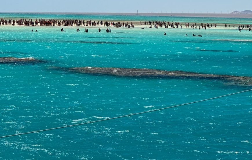 Ras Muhammad and White Island Trip by boat