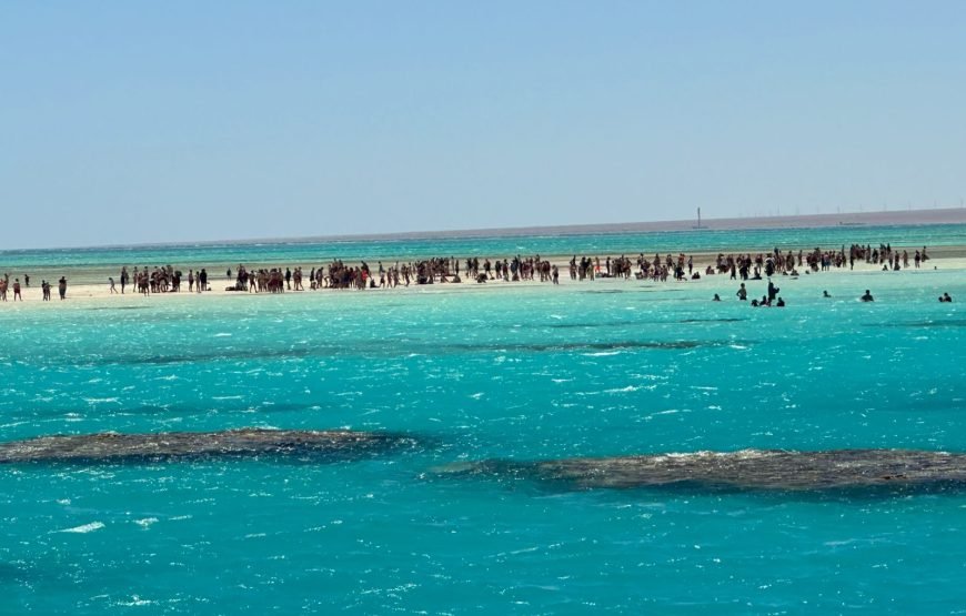 Ras Muhammad and White Island Trip by boat
