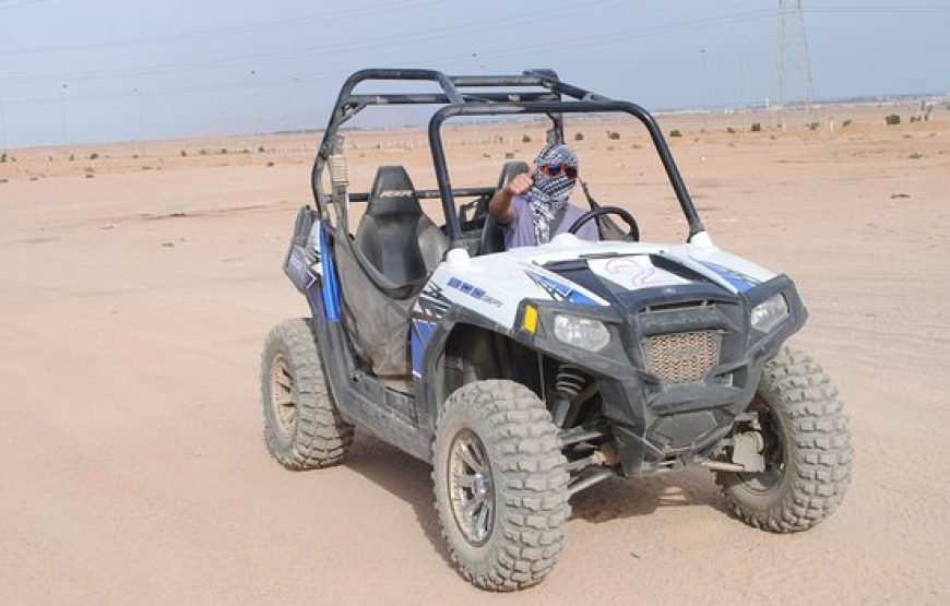 Super Sand Buggy Safari from Sharm El Sheikh
