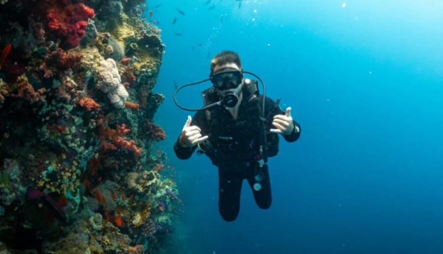 Discover the Best Place to Dive in Sharm El Sheikh: A Complete Guide