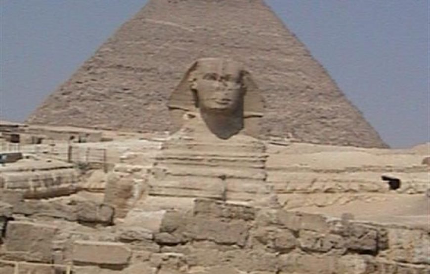 Cairo By Bus One Day: A Classic Egyptian Adventure