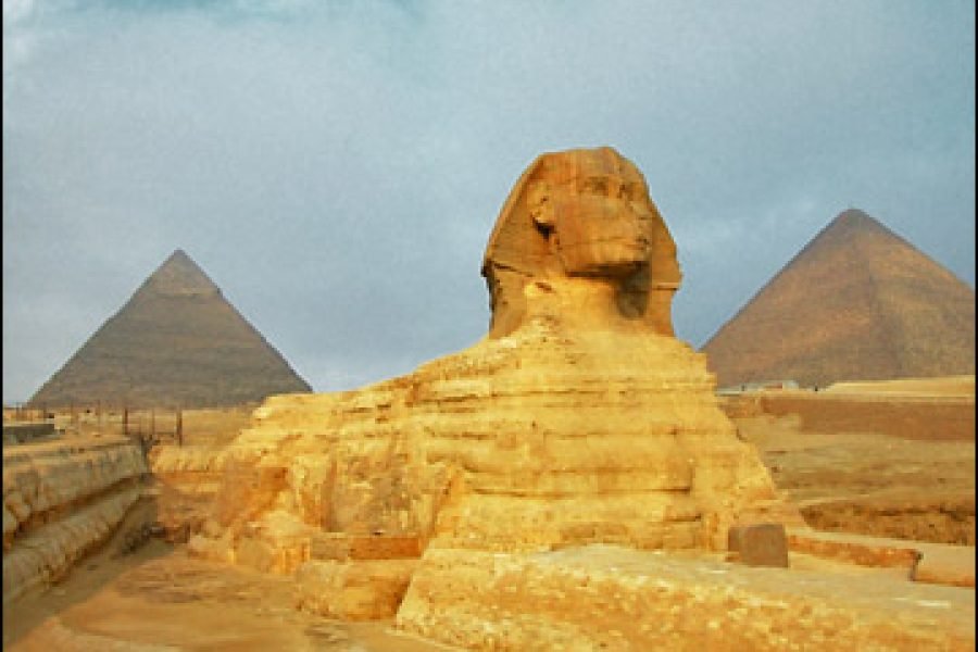Cairo By Bus One Day: A Classic Egyptian Adventure