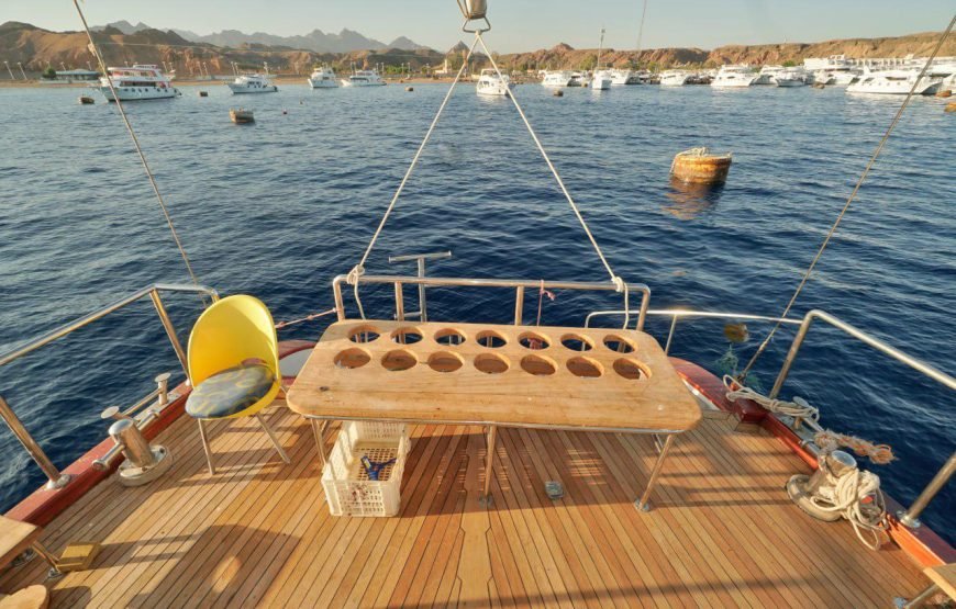 Private Luxury Yacht Day Trip