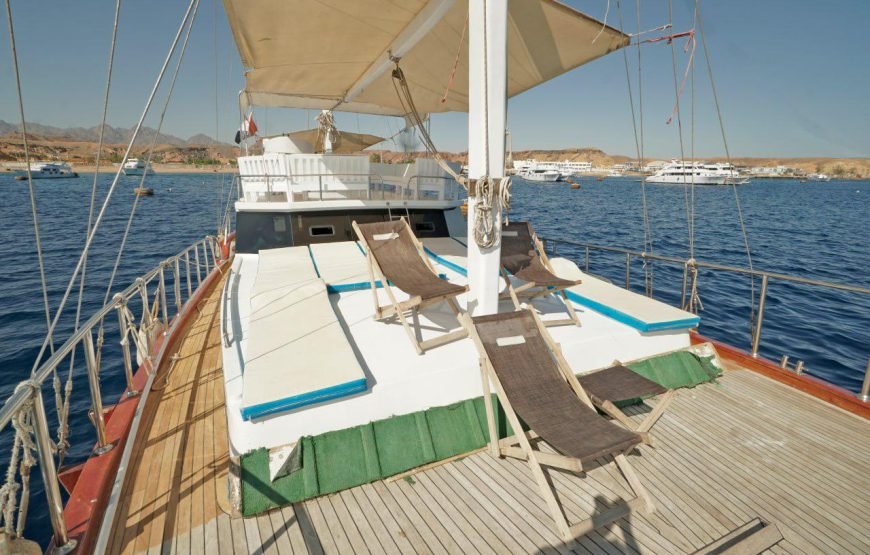 Private Luxury Yacht Day Trip