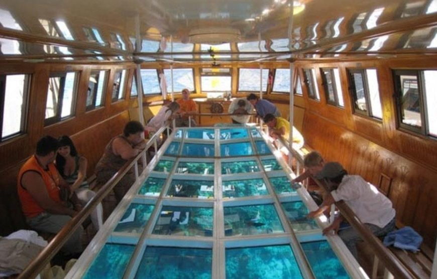 Summer Offer from Sharm Trips