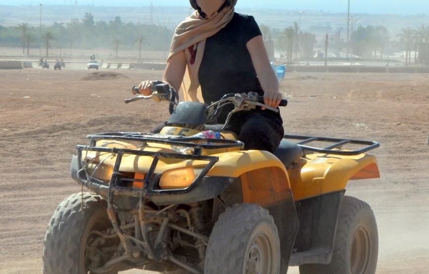 Summer Offer from Sharm Trips