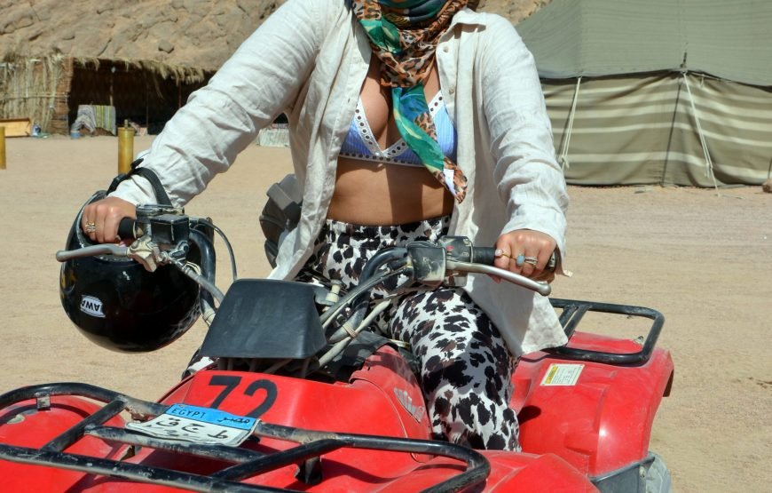 Summer Offer from Sharm Trips