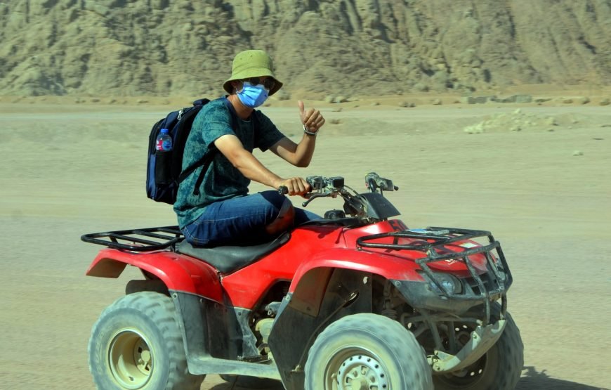 Summer Offer from Sharm Trips