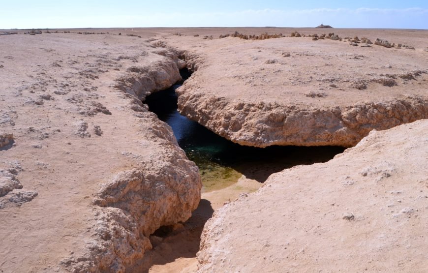 Ras Mohammed Overnight Safari