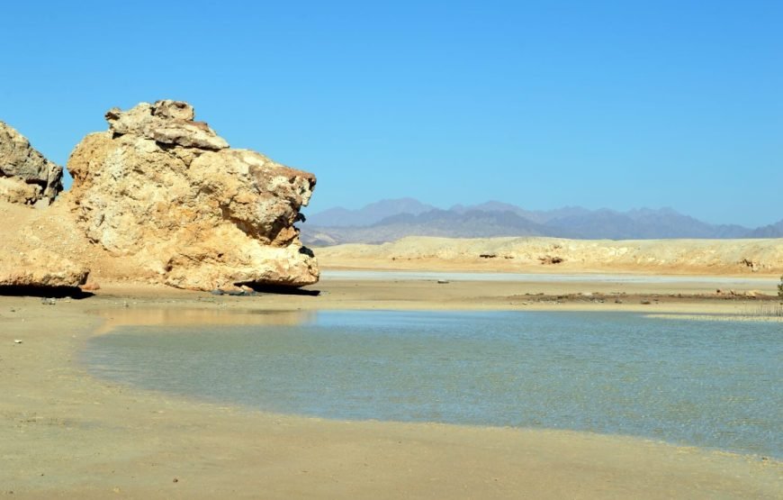 Ras Mohammed Overnight Safari