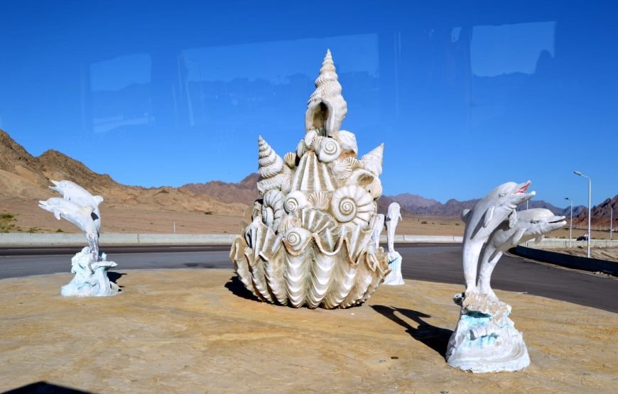Ras Mohammed Overnight Safari