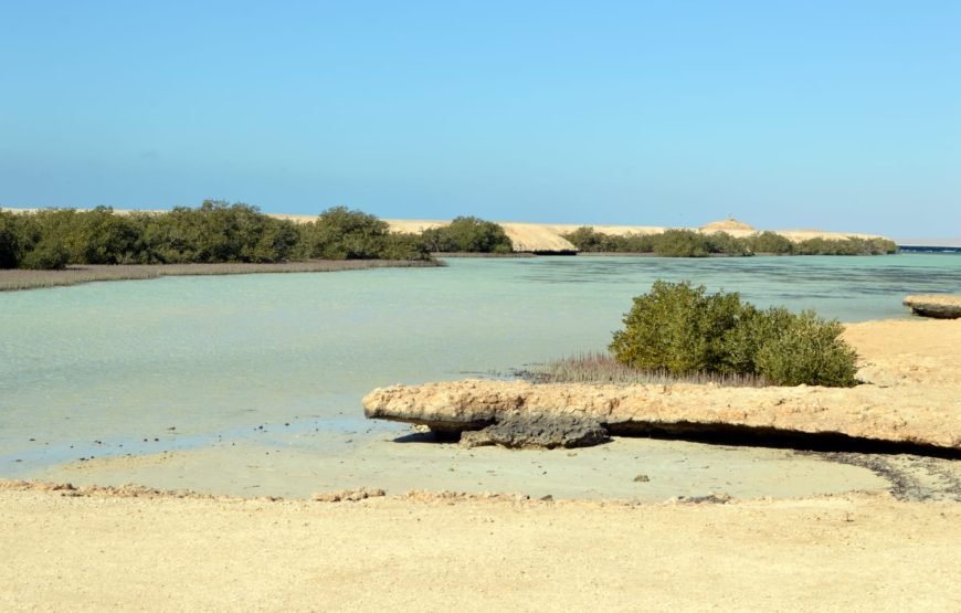 Ras Mohammed Overnight Safari