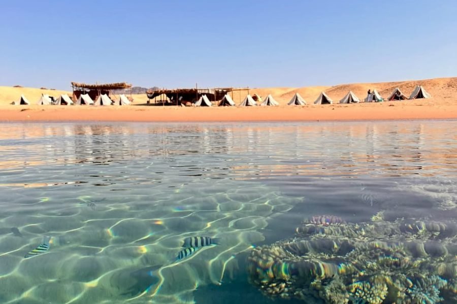 Ras Mohammed Overnight Safari