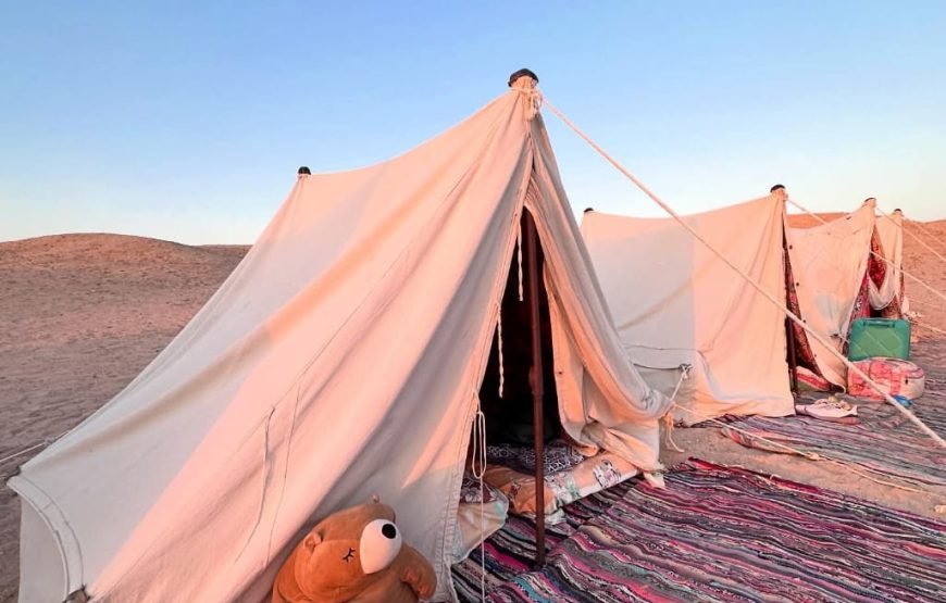 Ras Mohammed Overnight Safari